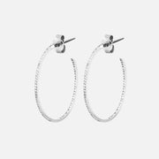 Delicate Diamond Hoop Earrings