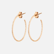 Delicate Diamond Hoop Earrings